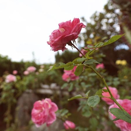 Taitung City-Cottage B&B Exterior photo